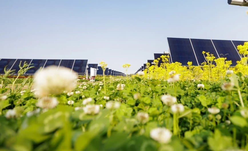 Lightsource bp and Meta Expand Partnership with New PPA for Mowata Solar in Louisiana